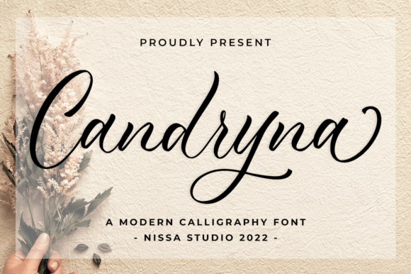 Candryna — A Premium Script Font for Modern Branding and Design