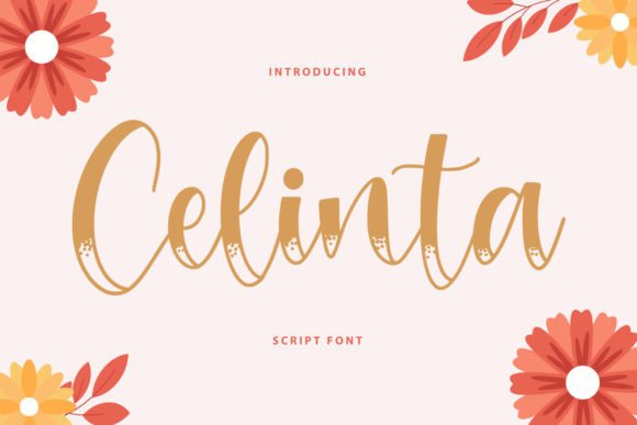 Celinta: A Script Handwritten Font for Polished Web Projects