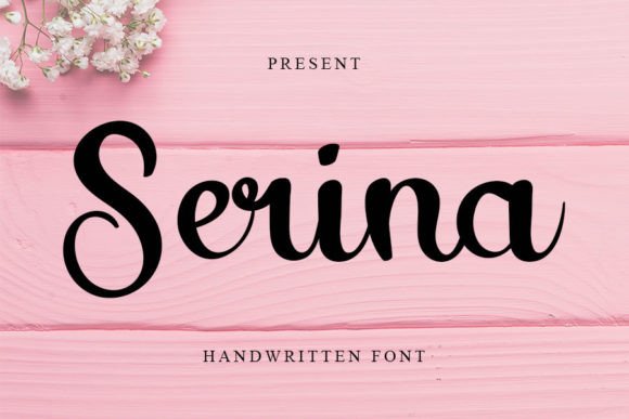 Use Serina Font to Elevate Your Web Design Projects