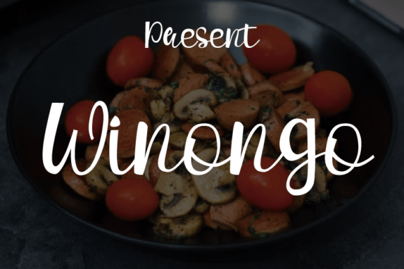 Winongo: A Handwritten Font for Modern Editorial Design