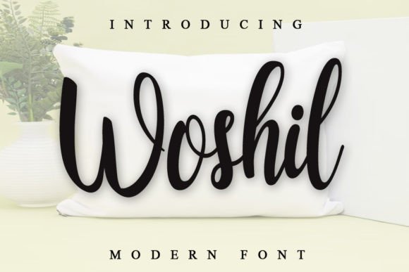 Woshil Font Review and Free Download Guide